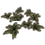 Tree Ferns, Juvenile Cluster Icon