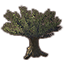 Tree, Huge Ancient Banyan Icon icon