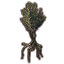 Árbol, baniano Icon icon