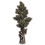 Baum, riesige Zypresse icon
