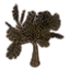 Baum, robustes Schattengewächs icon