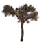 Sprössling, Eukalyptus-Gestrüpp icon
