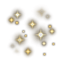 Paillettes de réjouissances T4 icon