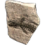 Fossil, riesiger Fischkopf icon