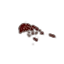 Eiterspritzer icon