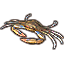 Crabe, exposition Icon icon
