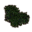 Морские водоросли (большая куча) icon