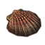 Seashell, Pink Scallop icon