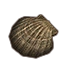 Furniture icon for Concha marina, vieira blanca