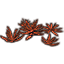 Скопление растений (бордовое алоэ) icon