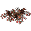 Fleurs, grand rosier grimpant Icon icon