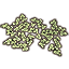 Pflanze, weißblütige Seerosenblätter Icon icon
