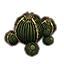 Cactus, bulbes dorés Icon icon