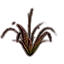 Plant, Red Aloe Succulent icon