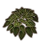 Furniture icon for Растение (здоровая белая хоста)