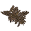 Кустарник (пятнистый лесной) icon