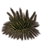 Растение (зеленое водное) icon