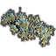 Buisson, grappe de lichen de grotte Icon icon
