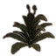 Furniture icon for Папоротниковое растение (здоровое зеленое)
