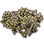 Arbusto, poco denso violeta icon