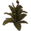 Fern Plant, Vibrant icon