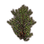 Кустарник (редкий зеленый) Icon icon