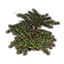 Куст (зеленый лес) icon