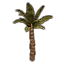 Plante, palme du marais icon