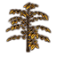 Саженец (нежный урожай) icon