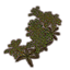 Plants, Dry Underbrush Icon icon