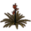 Flower, Stout Hibiscus icon