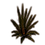 Plant, Dry Spike icon