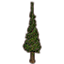 Formschnitt, gestutzter Nadelbaum icon