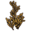 Pflanze, Bitterhalm Icon icon