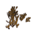 Gebüsch, Bitterbinsenansammlung Icon icon