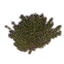 Gebüsch üppige Lorbeeren Icon icon