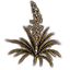 Растение (приземистая юкка) icon
