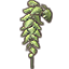 Fern, Tall Mammoth Leaf icon