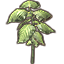 Fern, Small Mammoth Leaf icon