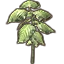 Furniture icon for Папоротник (малый с гигантскими листьями)