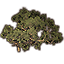 Shrub, Juniper Cluster icon