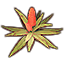 Plant, Flowering Desert Aloe Icon icon