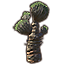Plant, Tall Desert Fan Icon icon