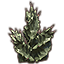 Pflanze, dorniger Sukkulente icon