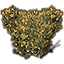 Arbusto, sophora tomentosa amarilla icon
