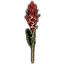 Garlas Alpinia, Tall Icon icon