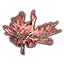 Spiralstrangkoralle, spröde Ader icon