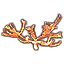 Corail de l'Échevau spirale, bois de cerf icon
