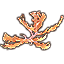 Elkhorn Coral, Branching Icon