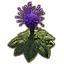 Planta, bulbo del hist Icon icon